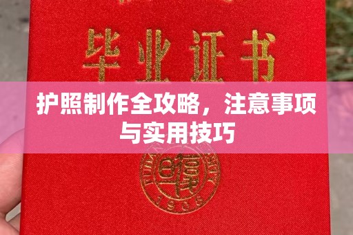 奉新护照制作全攻略，注意事项与实用技巧