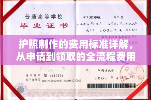 樟木头护照制作的费用标准详解，从申请到领取的全流程费用指南