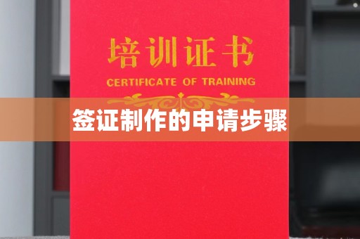 葫芦岛签证制作的申请步骤